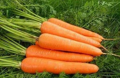 農(nóng)副產(chǎn)品圖片/農(nóng)副產(chǎn)品樣板圖 (4)