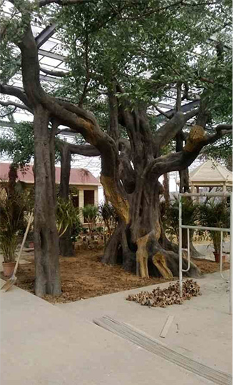 真假圖片/真假樣板圖 (3)