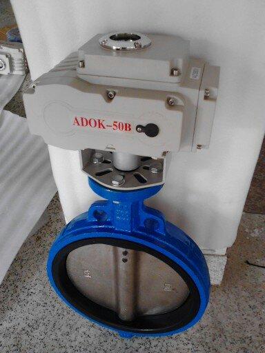 電動(dòng)對(duì)夾式蝶閥圖片/電動(dòng)對(duì)夾式蝶閥樣板圖 (1)