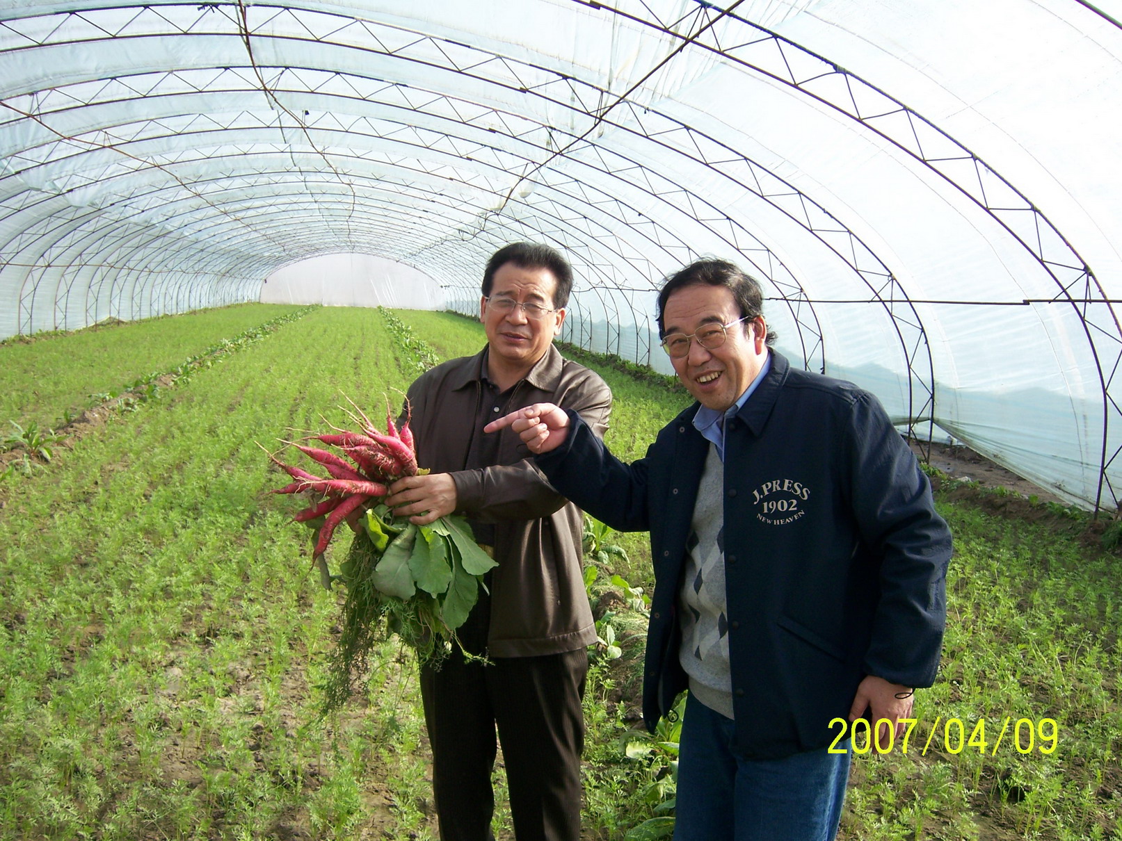 高老師設(shè)計新型塑料大棚式農(nóng)家樂圖片/高老師設(shè)計新型塑料大棚式農(nóng)家樂樣板圖 (1)