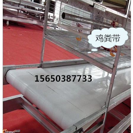 雞屎傳送帶價(jià)格 雞糞傳送帶多少錢圖片/雞屎傳送帶價(jià)格 雞糞傳送帶多少錢樣板圖 (4)