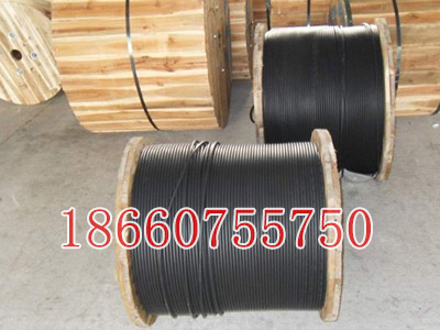 PE束管圖片/PE束管樣板圖 (4)