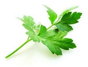 脫水香菜脫水芫荽圖片/脫水香菜脫水芫荽樣板圖 (2)