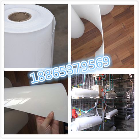 規(guī)模養(yǎng)雞場都用什么樣的清糞帶圖片