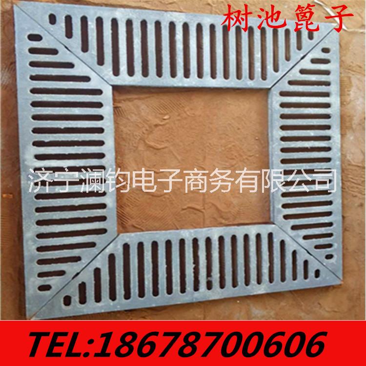 樹池篦子圖片/樹池篦子樣板圖 (4)