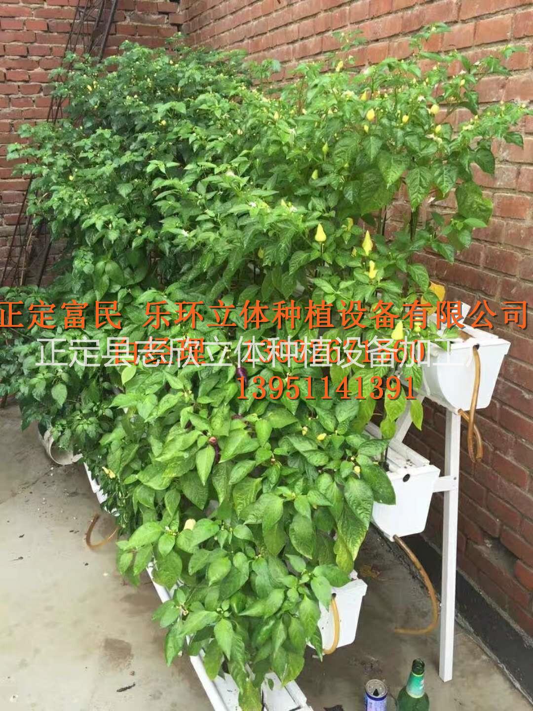 阳台蔬菜种植槽，蔬菜基质种植槽图片