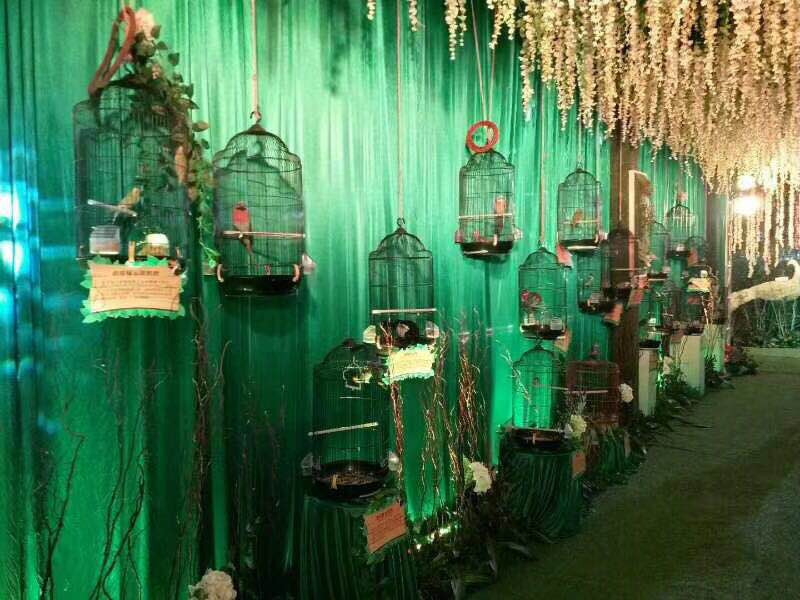 供應(yīng)高端百鳥園出租展覽，哪里有百鳥園租賃