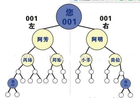 长春市直销软件双轨制厂家长春大连洮南延吉图们直销软件开发定制直销软件双轨制