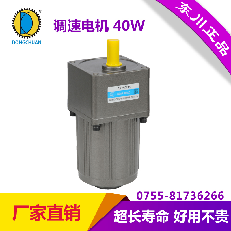 東川40W調(diào)速電機(jī)