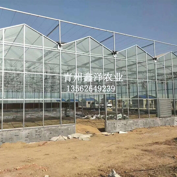 玻璃大棚建設(shè)圖片/玻璃大棚建設(shè)樣板圖 (3)