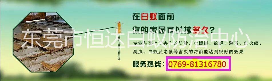 滅白蟻圖片/滅白蟻樣板圖 (3)