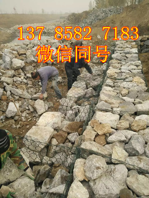 固濱籠圖片/固濱籠樣板圖 (2)
