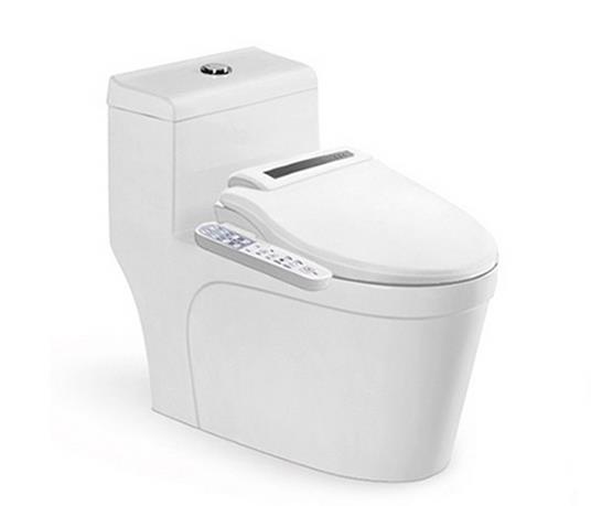 潮州自動(dòng)沖水式座便器批發(fā)價(jià)格  3515智能座便器廠家直銷3515智能座便器報(bào)價(jià)