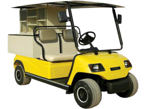 高爾夫球車圖片/高爾夫球車樣板圖 (4)