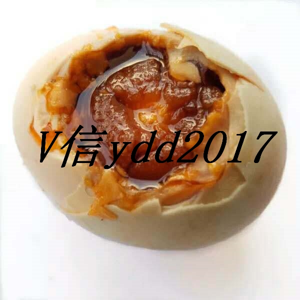 海鴨蛋圖片/海鴨蛋樣板圖 (4)
