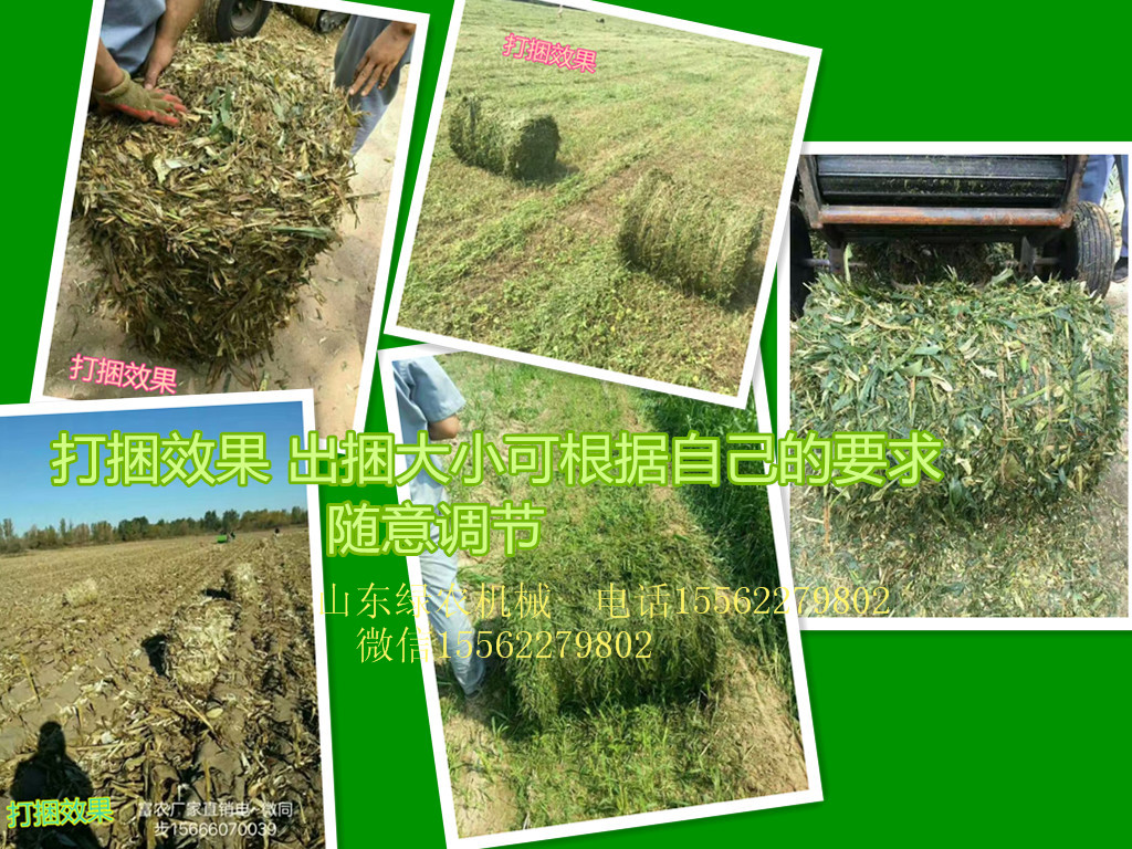秸稈粉碎打捆機圖片/秸稈粉碎打捆機樣板圖 (4)