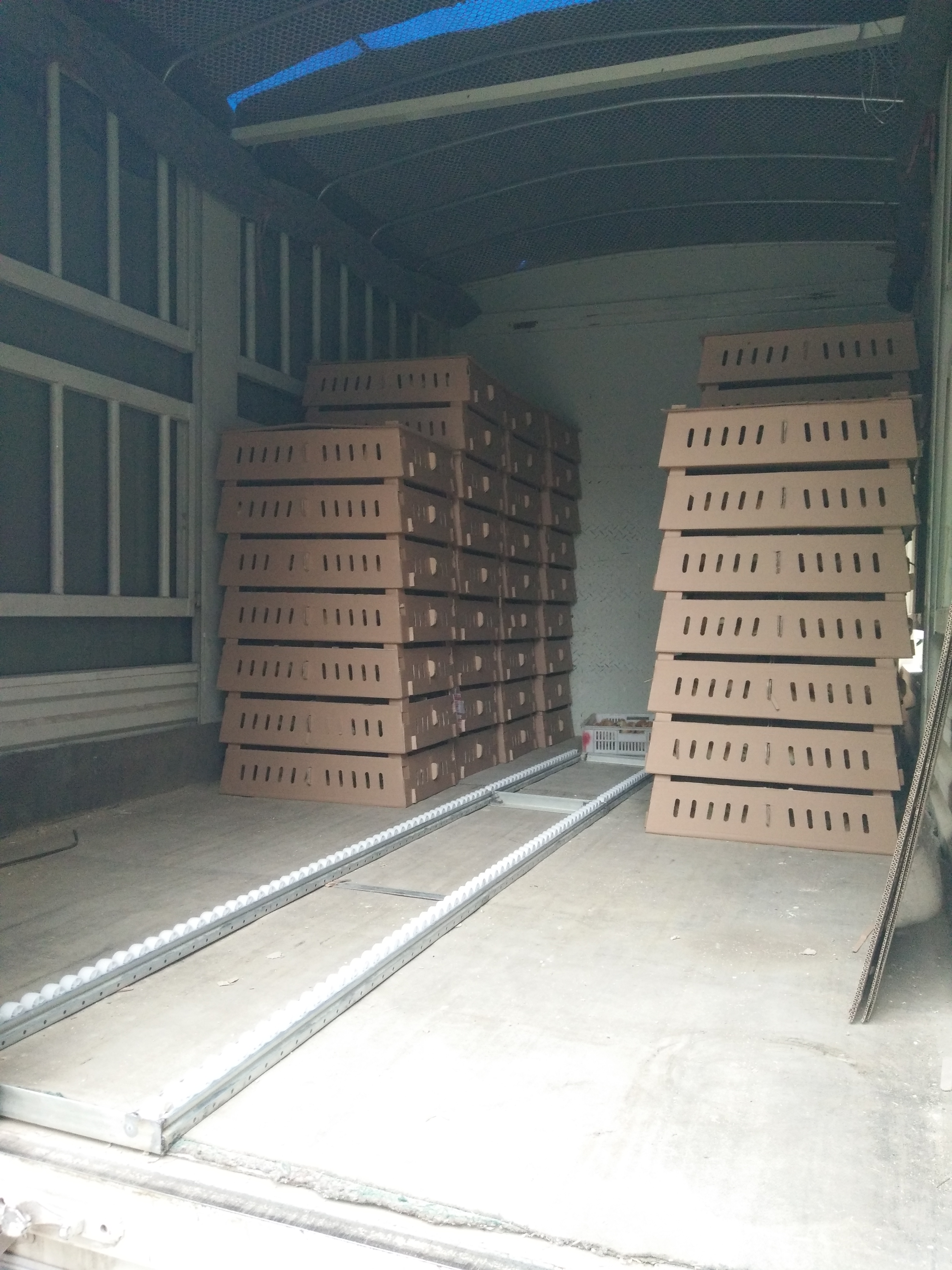 雞苗孵化場圖片/雞苗孵化場樣板圖 (4)