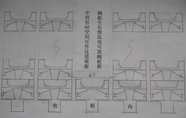 蠅蛆養(yǎng)殖分離箱設(shè)備圖片