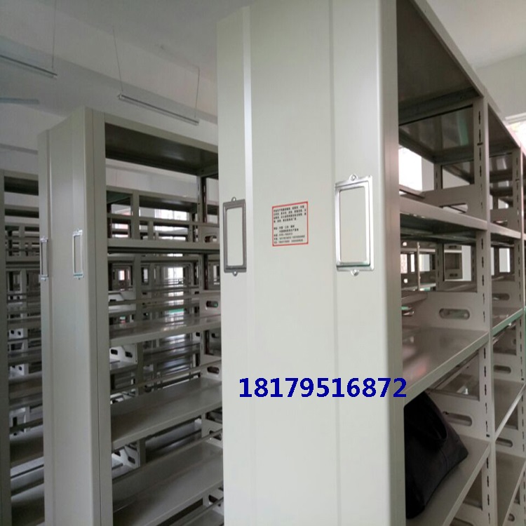 定制湖南長沙圖書館書架學(xué)校書架圖片/定制湖南長沙圖書館書架學(xué)校書架樣板圖 (2)
