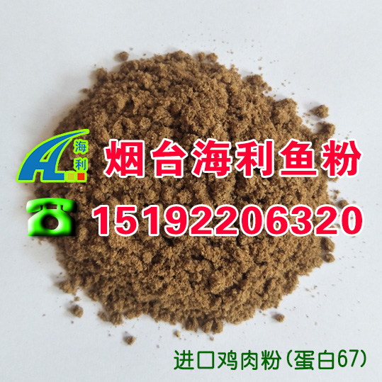 雞肉粉圖片/雞肉粉樣板圖 (2)