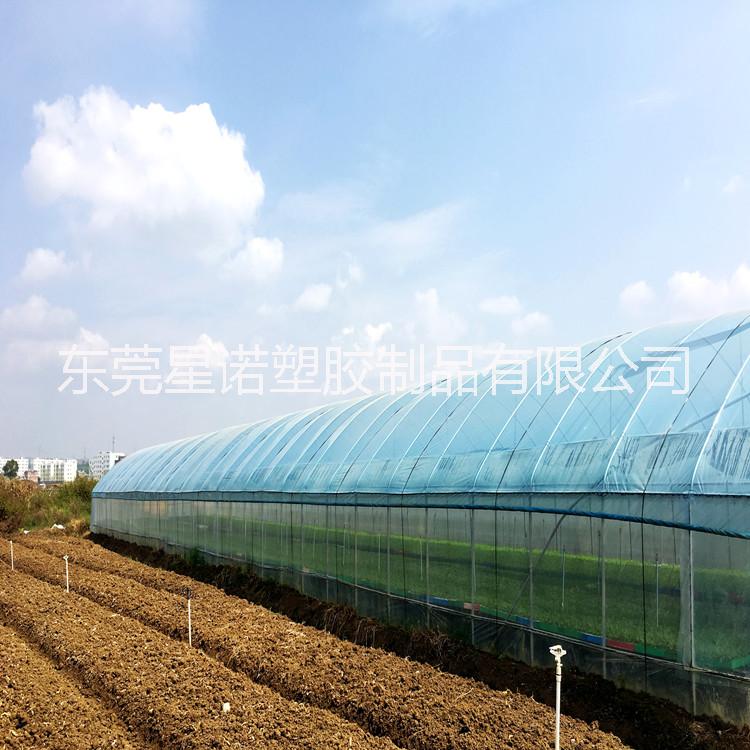 塑料薄膜圖片/塑料薄膜樣板圖 (4)