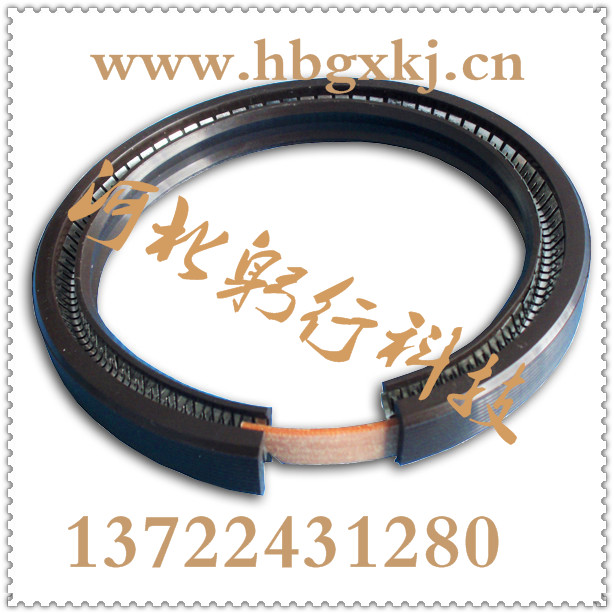 剖分式油封圖片/剖分式油封樣板圖 (2)