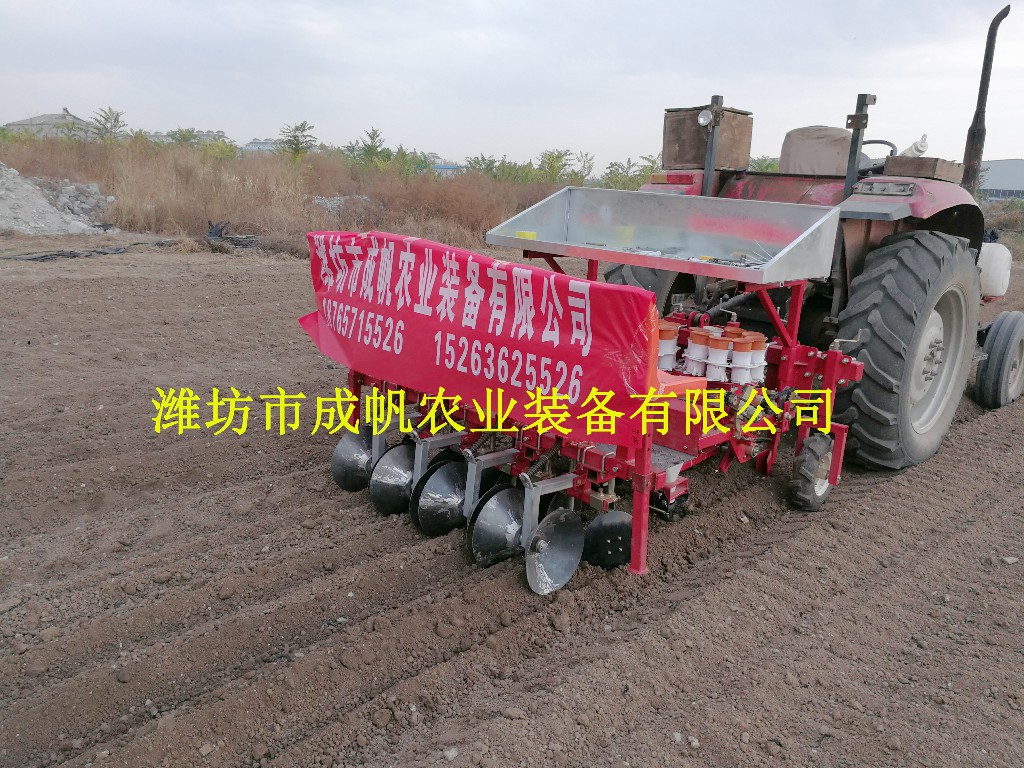 辣椒甜菜玉米移栽機農(nóng)機廠家 成帆圖片