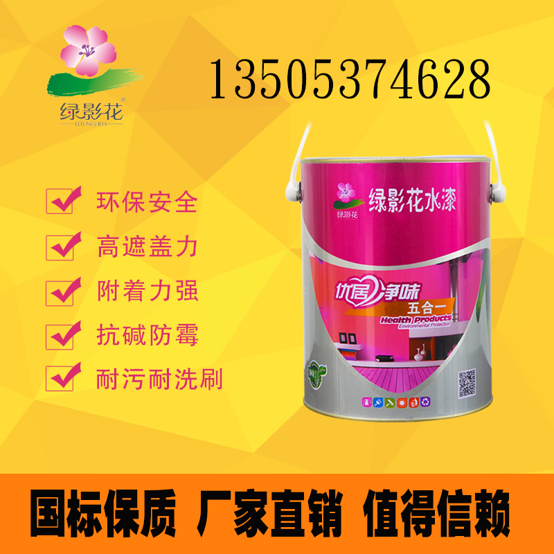 內(nèi)墻凈味漆*去除異味 保護(hù)墻面水性漆