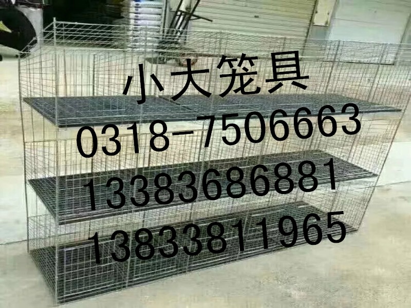 雞鴿兔籠圖片/雞鴿兔籠樣板圖 (1)