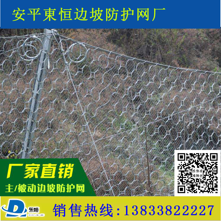 被動(dòng)防護(hù)網(wǎng)圖片/被動(dòng)防護(hù)網(wǎng)樣板圖 (3)