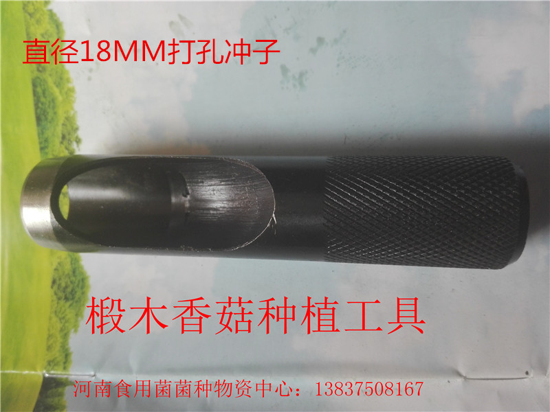食用菌技術(shù)培訓(xùn)     河南食用菌技術(shù)培訓(xùn)公司   河南食用菌技術(shù)培訓(xùn)價(jià)格  河南食用菌技術(shù)培訓(xùn)