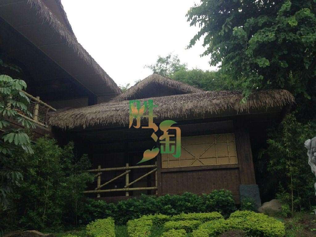 茅草圖片/茅草樣板圖 (4)