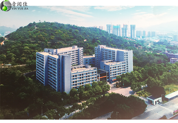 音樂藝考集訓(xùn)圖片