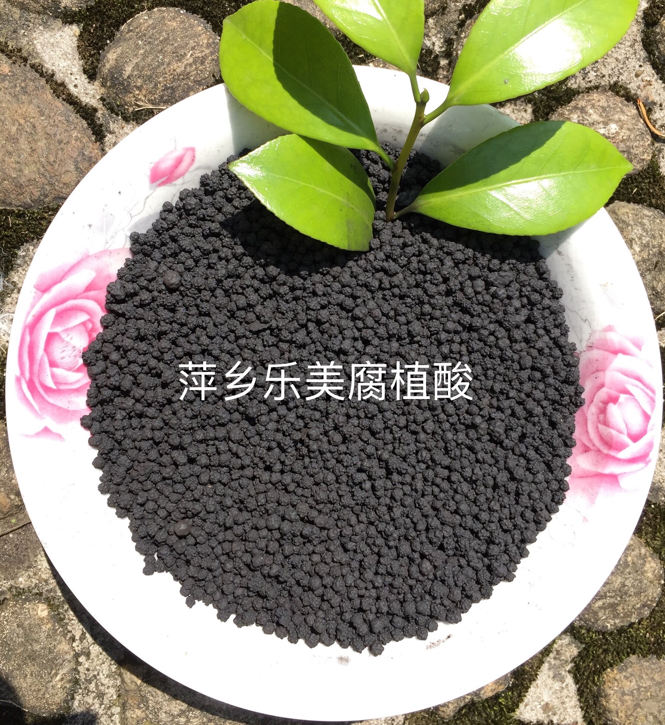 顆粒狀圖片/顆粒狀樣板圖 (1)