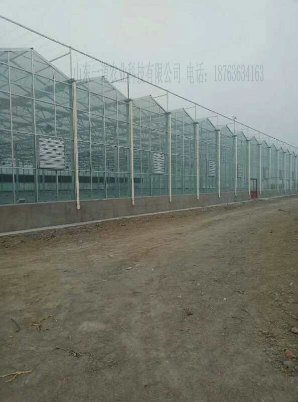 哈爾濱 恒溫智能溫室大棚育苗室圖片/哈爾濱 恒溫智能溫室大棚育苗室樣板圖 (4)