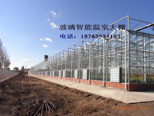 齊齊哈爾恒溫智能溫室大棚育苗室圖片