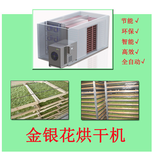 金銀花烘干機(jī)圖片/金銀花烘干機(jī)樣板圖 (2)