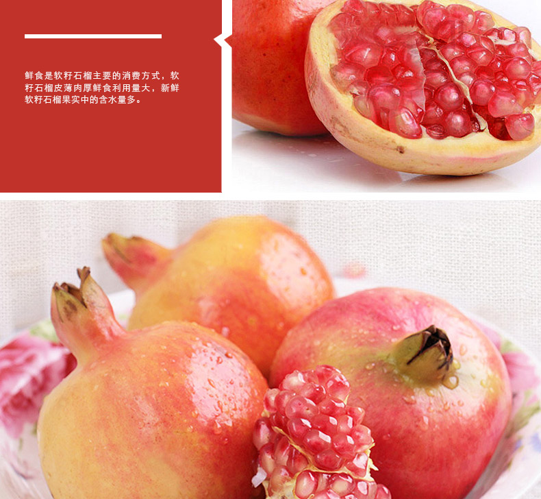 軟籽石榴圖片/軟籽石榴樣板圖 (4)