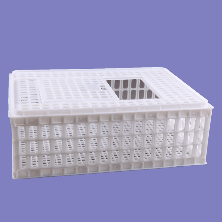 塑料鴨籠子 大鴨筐子 大鴨運輸籠圖片/塑料鴨籠子 大鴨筐子 大鴨運輸籠樣板圖 (3)