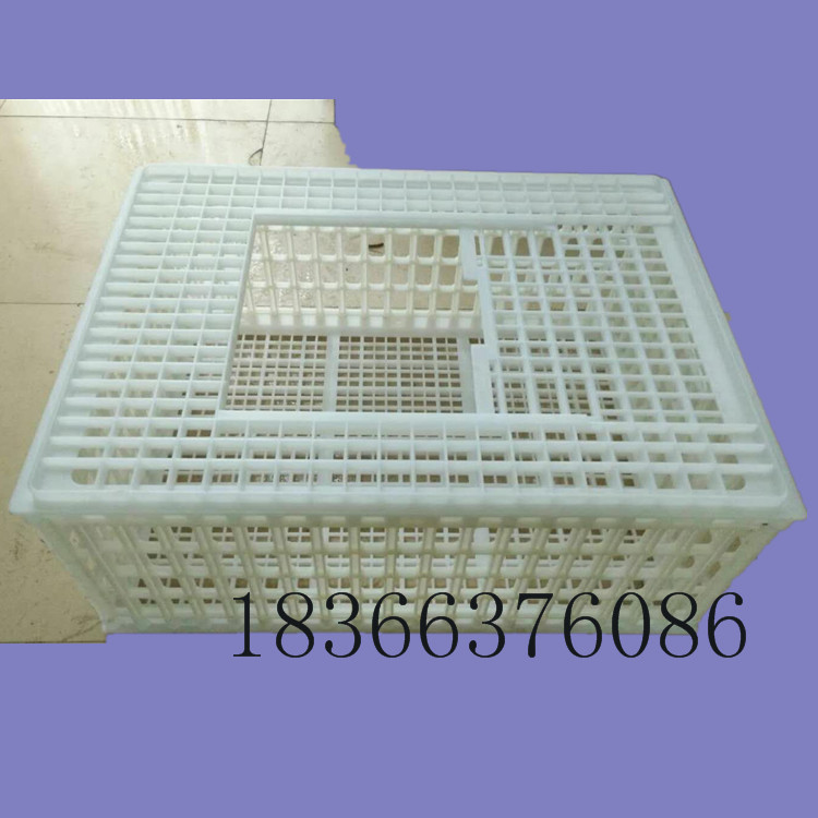 塑料鴨籠子 大鴨筐子 大鴨運輸籠圖片/塑料鴨籠子 大鴨筐子 大鴨運輸籠樣板圖 (4)