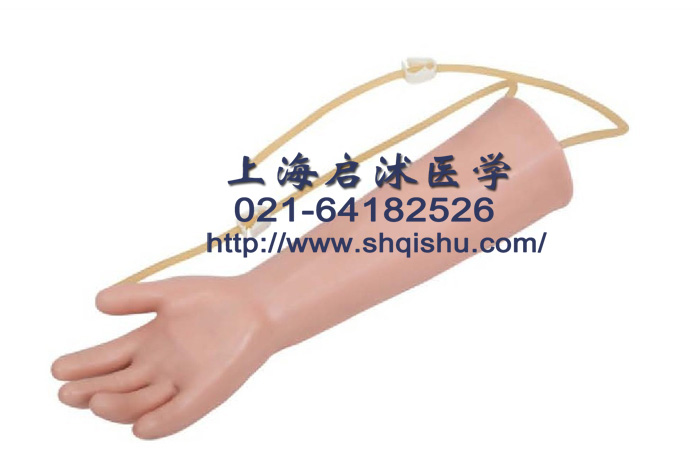 兒童靜脈輸液手臂模型圖片