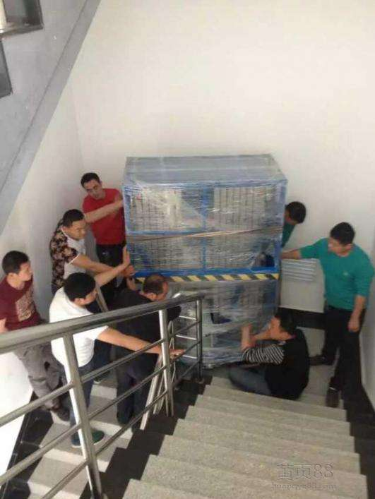順德搬廠圖片/順德搬廠樣板圖 (3)