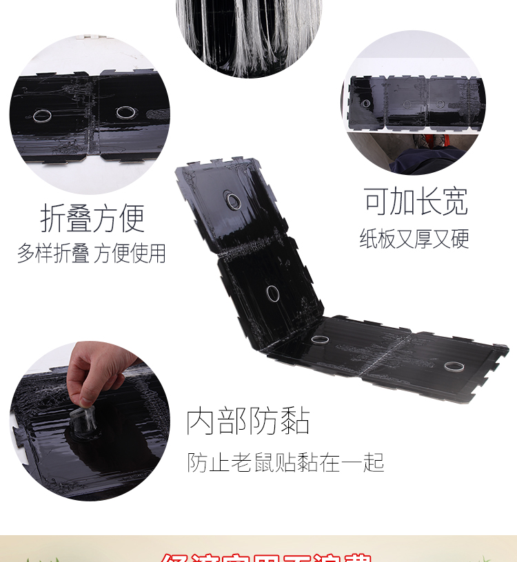 鼠膠圖片/鼠膠樣板圖 (1)