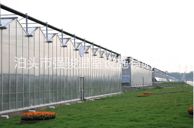 溫室蔬菜大棚圖片