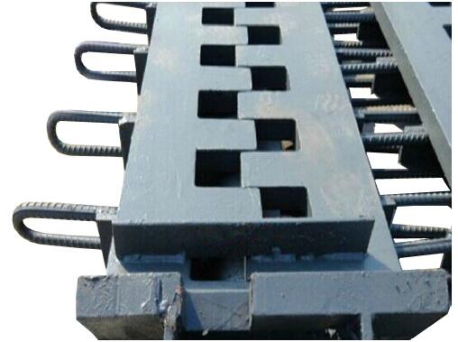 梳齒板伸縮縫圖片/梳齒板伸縮縫樣板圖 (3)