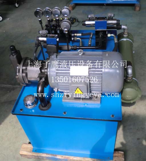 專業(yè)中小型液壓站設(shè)計(jì)圖紙