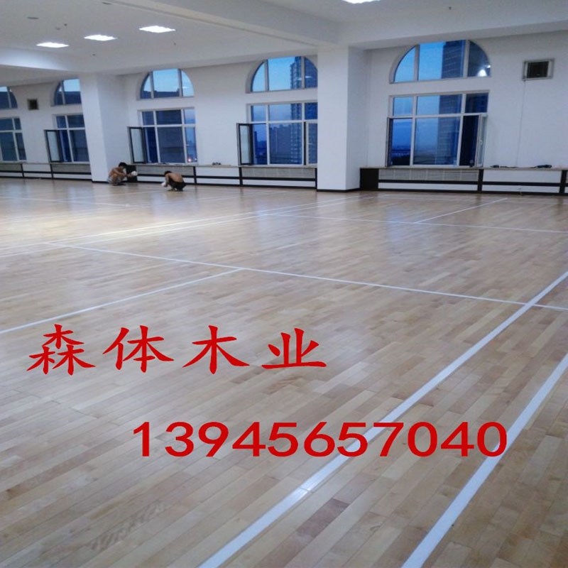 室內(nèi)體育館圖片/室內(nèi)體育館樣板圖 (1)