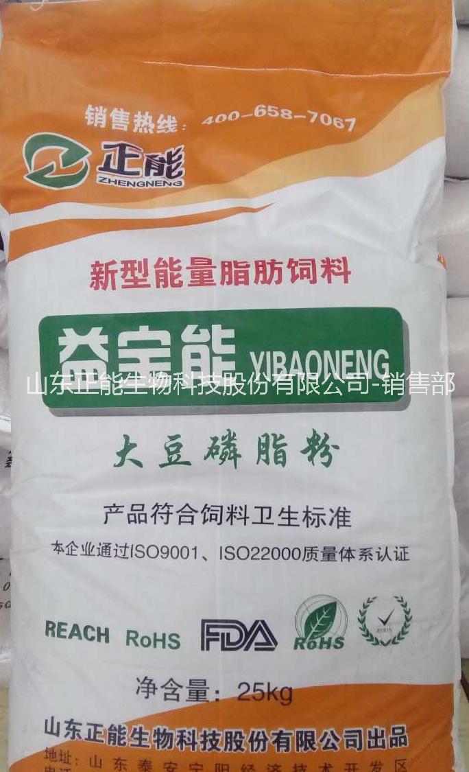 山東廠家銷售大豆磷脂油粉 大豆磷脂油粉廠家銷售