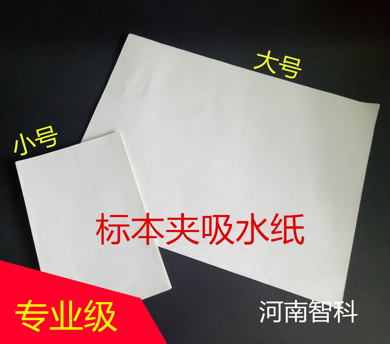 植物標(biāo)本吸水圖片