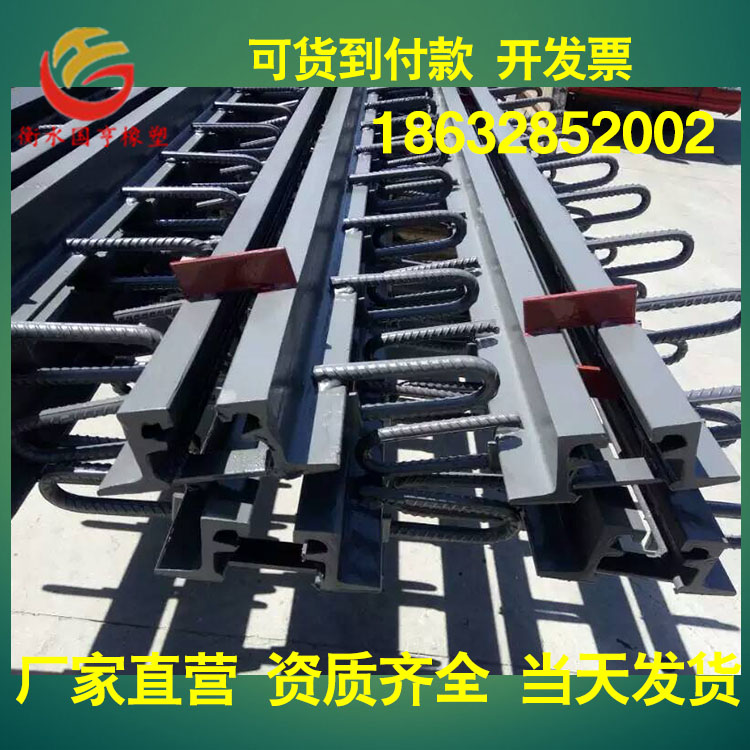 公路橋梁伸縮縫圖片/公路橋梁伸縮縫樣板圖 (2)